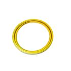 Porta Grelha Inox Redondo P/ Ralo Click 10cm Dourado