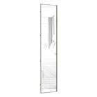 Porta Para Closet Com Espelho Individual 50cm Inox Espelho - LUCIANE