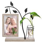 Porta-retratos Plant Hydroponics Home Decor KUCHEY