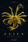 Poster Cartaz Alien: Romulus D