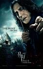 Poster Cartaz Harry Potter e as Relíquias da Morte Parte 1 M