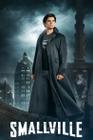 Poster Cartaz Smallville F