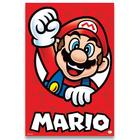 Poster Decorativo 42cm x 30cm A3 Brilhante Mario b8 - BD Net Collections