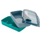 Pote De Marmita Lunch Box Electrolux Com Divisória Verde