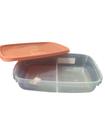 Pote facil plastico frios sanremo 1,4L 172/6 salmao