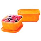 pote para freezer line laranja kit 2 peças 450 ml - Tupperware