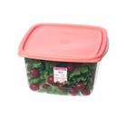 Pote Quadrado Plástico Sanremo 3,7L - Coral