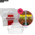 Pote Retangular com Tampa para Freezer e Micro-ondas Prafesta - 1000ml - CX 144 Unidades (CX6x24)