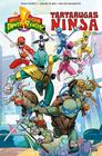 Power rangers e tartarugas ninja vol. 01 - PIPOCA E NANQUIM