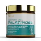 Powerfuel palatinose - 300g - Trustfuel