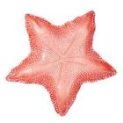 Prato de Vidro Estrela do Mar Grande Coral Marina 28 x 3cm - Vylux