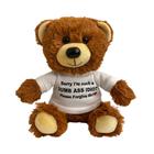 Presente de desculpas Teddy Bear Witty Bear I'm Sorry com sacola de presente de 10 polegadas - Witty Enterprise