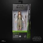 Princesa Leia Star Wars - Hasbro F4352