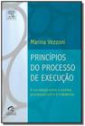 Princípios do Processo de Execução - A Correlação Entre o Sistema Processual Civil e o Trabalhista