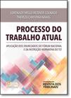 Processo do Trabalho Atual: Aplicação dos Enunciados do Fórum Nacional e da Instrução Normativa do Tst