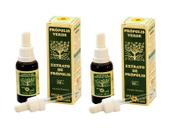 Própolis Verde Extrato De Própolis Apis Flora 30ml Kit C/2