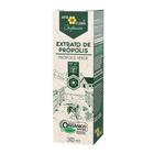 Própolis Verde Orgânico Extrato de Própolis Apis Flora 30mL - PROPOLIS VERDE