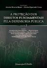 Protecao dos direitos fundamentais pela defensoria publica, a - vol. 2 - Lumen Juris