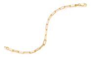Pulseira Formada Por Fio Elos Ovais Comprido 551692