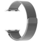 Pulseira Milanese de Aço de Ferro Para SmartWatch 38mm 40mm Em Aço Inoxidável - Prata