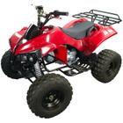 Quadriciclo Atv 125cc Gasolina P Elétrica com Ré 0 km Freio a Disco 4T - TATV125