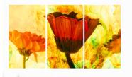 Quadro 70X150cm em Impressão Digital trio tulipa vermelha Atelier Valverde