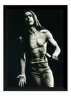 Quadro Arte Iggy Pop Poster Moldurado