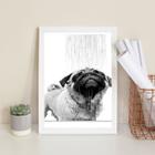 Quadro Banheiro - Pug Tomando Banho 45x34cm - com vidro