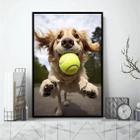 Quadro Cachorro Com Bola De Tênis 24X18Cm