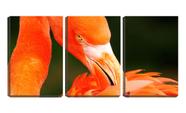 Quadro canvas 30x66 bico de flamingo nas penas