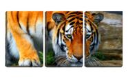 Quadro canvas 30x66 bigodes de tigre asiático