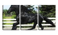 Quadro canvas 30x66 cavalo preto correndo