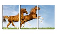 Quadro canvas 30x66 crinas de cavalos ao vento