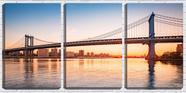 Quadro canvas 30x66 ponte sobre rios e prédios