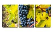 Quadro canvas 45x96 cacho de uvas entre folhas