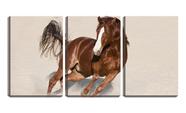 Quadro canvas 45x96 cavalo correndo na areia