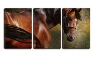 Quadro canvas 45x96 olhar de cavalo vermelho