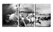 Quadro canvas 45x96 três cavalos brancos no campo