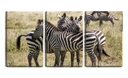 Quadro canvas 45x96 três zebras na savana