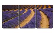 Quadro canvas 55x110 campo sinuoso de lavanda