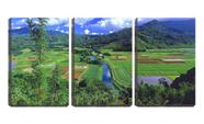 Quadro canvas 55x110 campos de cereais