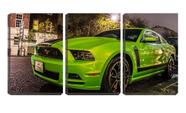 Quadro canvas 55x110 carro mustang esportivo parado