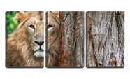 Quadro canvas 55x110 olhar de leão na árvore