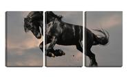 Quadro canvas 55x110 patas de cavalo negro levantadas