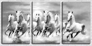 Quadro canvas 55x110 sete cavalos brancos pb