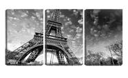 Quadro canvas 68x126 árvores secas na torre eiffel