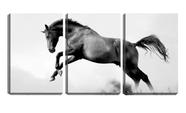 Quadro canvas 68x126 cavalo fundo branco pb