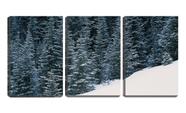 Quadro canvas 68x126 pinheiros sobre a neve