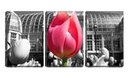 Quadro canvas 68x126 tulipa no jardim fundo pb