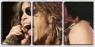 Quadro canvas 68x126 vocalista aerosmith